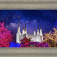 Washington DC Temple Christmas Lights