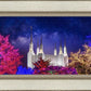 Washington DC Temple Christmas Lights