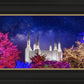 Washington DC Temple Christmas Lights