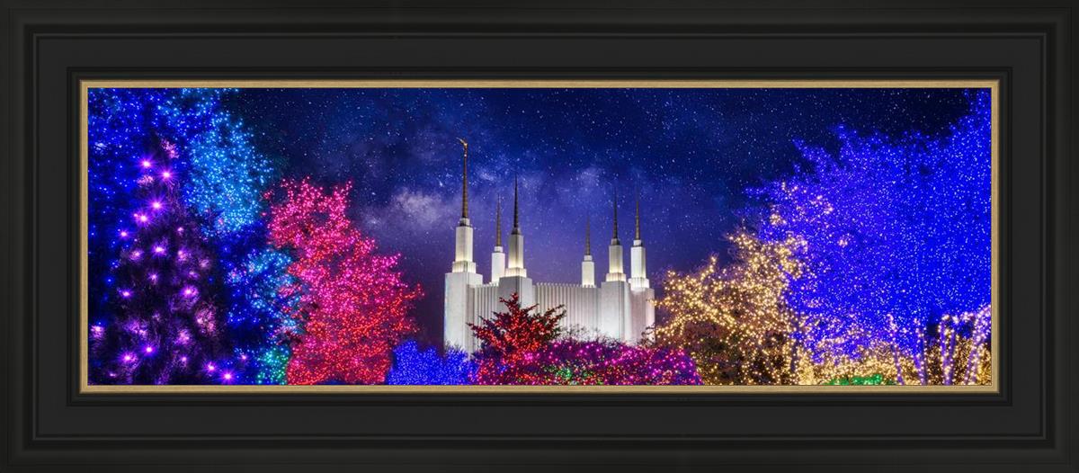 Washington DC Temple Christmas Lights