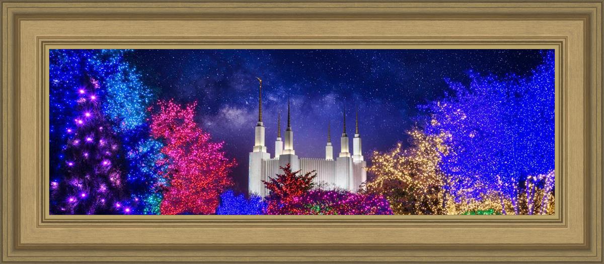 Washington DC Temple Christmas Lights