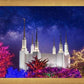 Washington DC Temple Christmas Lights