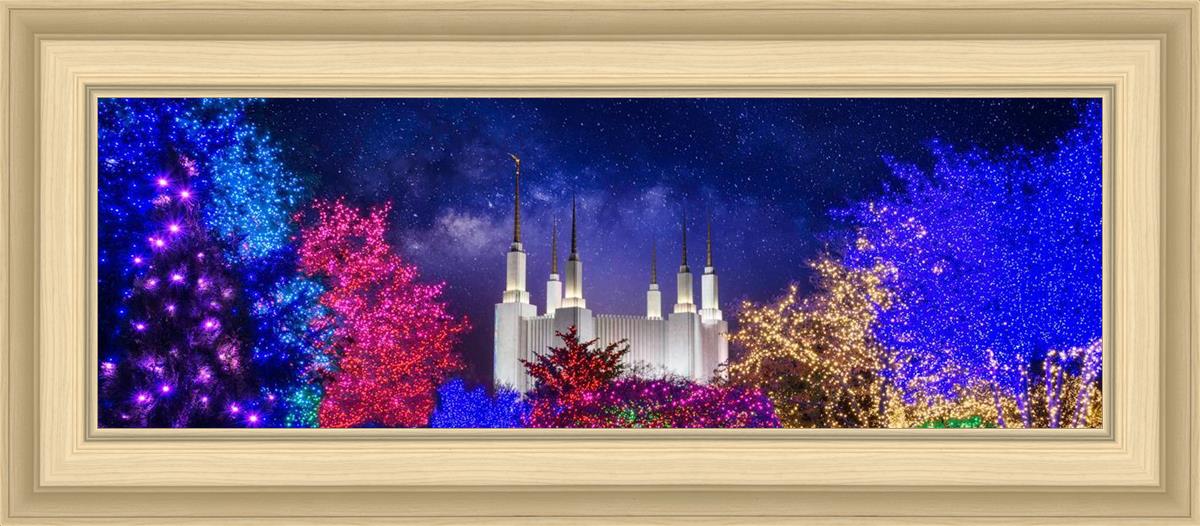 Washington DC Temple Christmas Lights