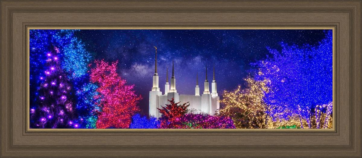 Washington DC Temple Christmas Lights