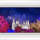 Washington DC Temple Christmas Lights