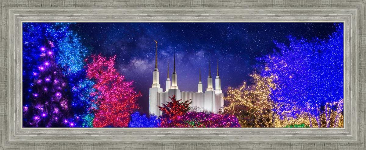 Washington DC Temple Christmas Lights
