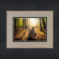 First Vision, Joseph Smith