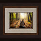 First Vision, Joseph Smith