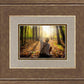 First Vision, Joseph Smith