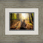First Vision, Joseph Smith