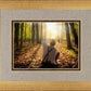 First Vision, Joseph Smith