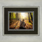 First Vision, Joseph Smith