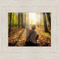 First Vision, Joseph Smith