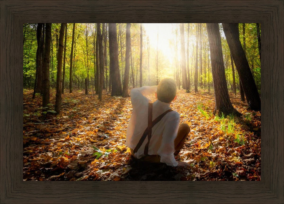 First Vision, Joseph Smith