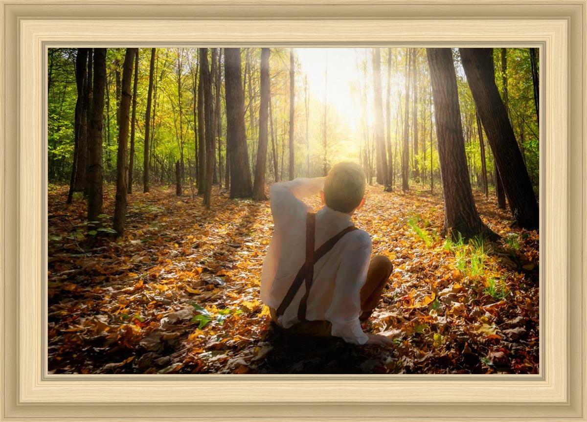 First Vision, Joseph Smith