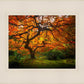 Tree of Perspective