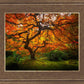 Tree of Perspective