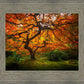 Tree of Perspective