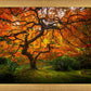 Tree of Perspective