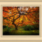 Tree of Perspective