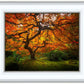 Tree of Perspective