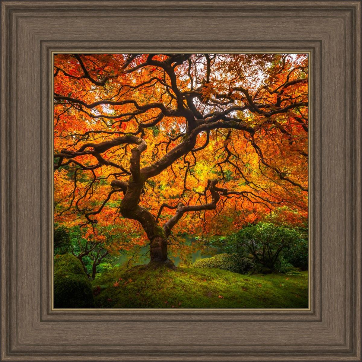 Tree of Perspective