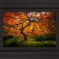 Tree of Perspective