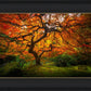 Tree of Perspective