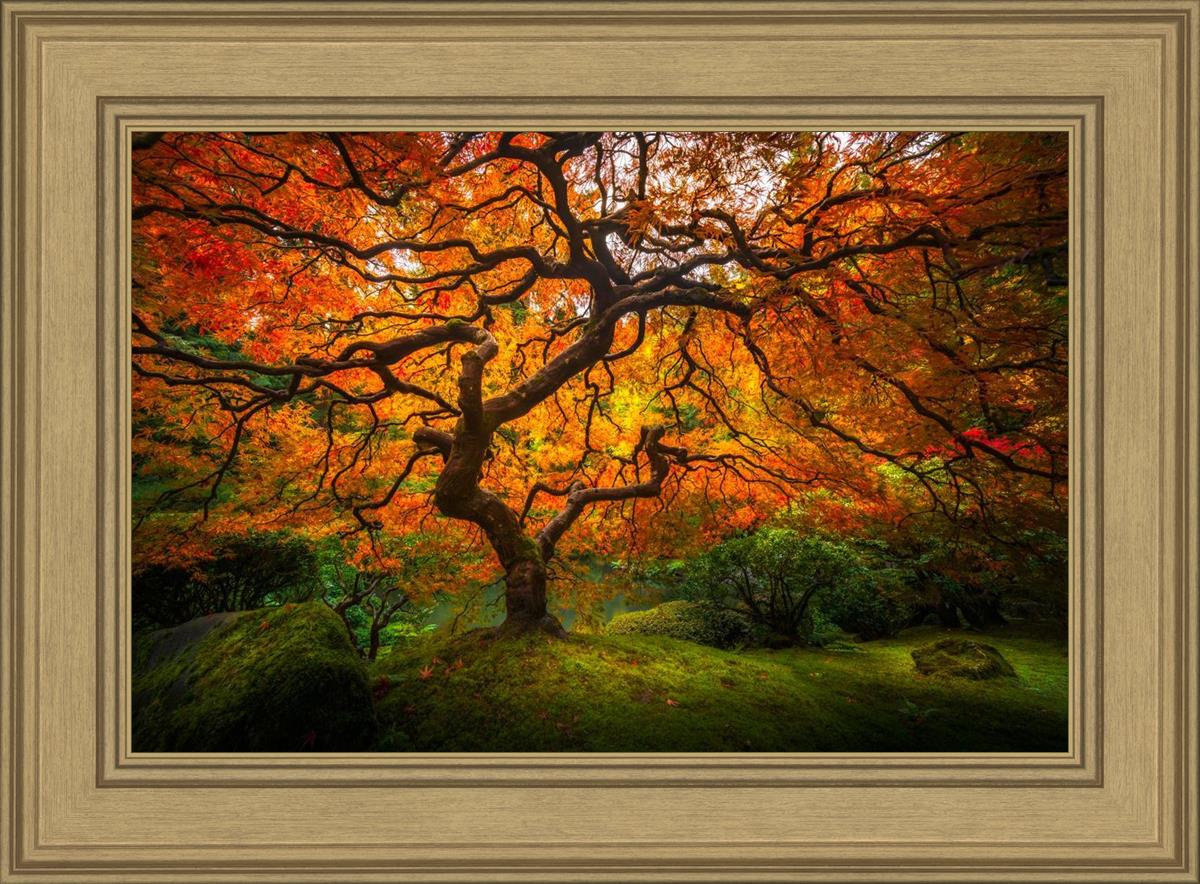 Tree of Perspective