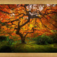 Tree of Perspective