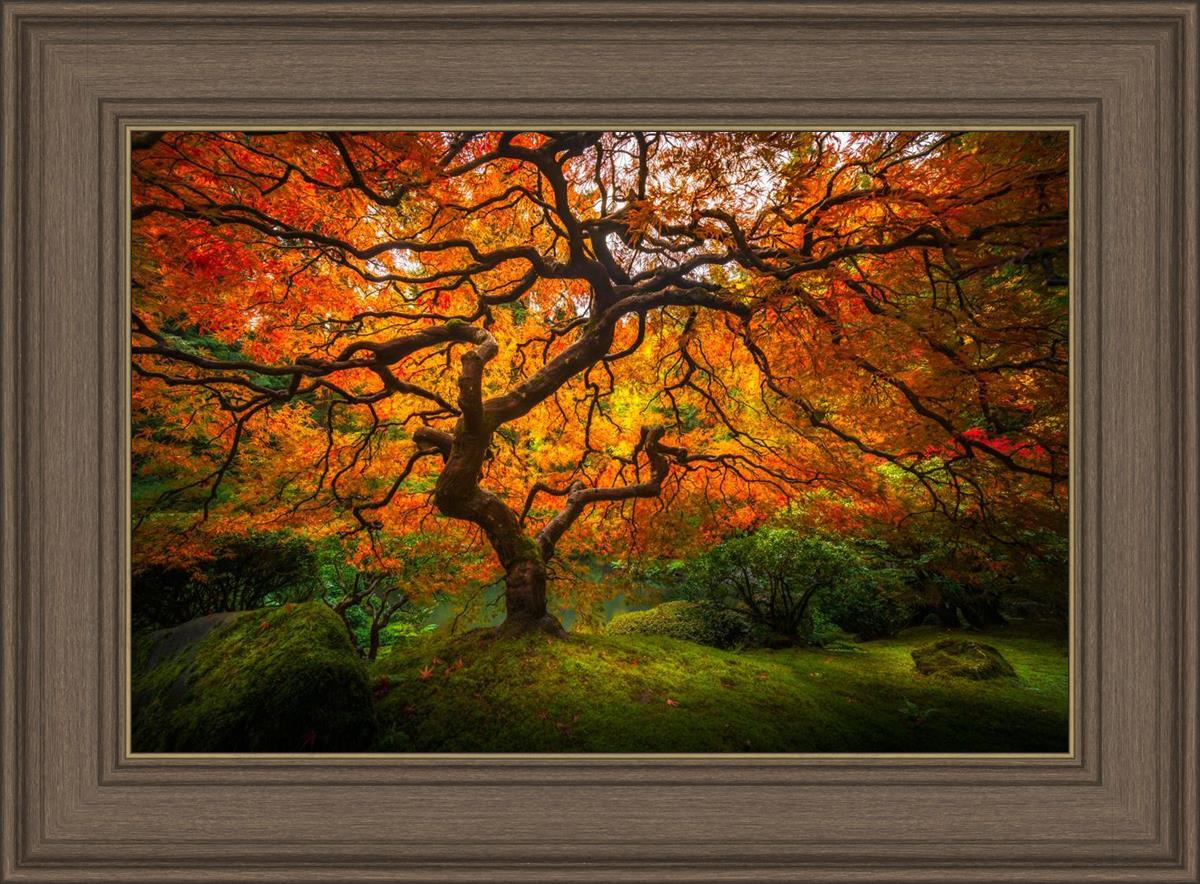 Tree of Perspective