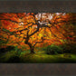 Tree of Perspective