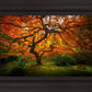 Tree of Perspective