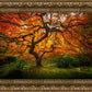 Tree of Perspective