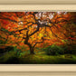 Tree of Perspective