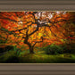 Tree of Perspective