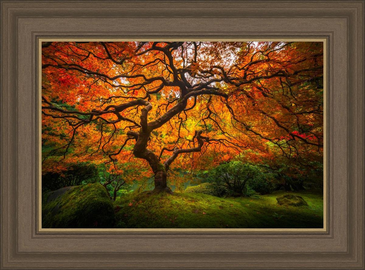 Tree of Perspective