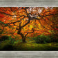 Tree of Perspective