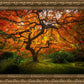Tree of Perspective