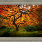 Tree of Perspective