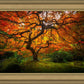 Tree of Perspective