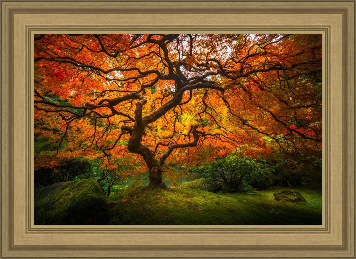 Tree of Perspective