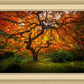 Tree of Perspective