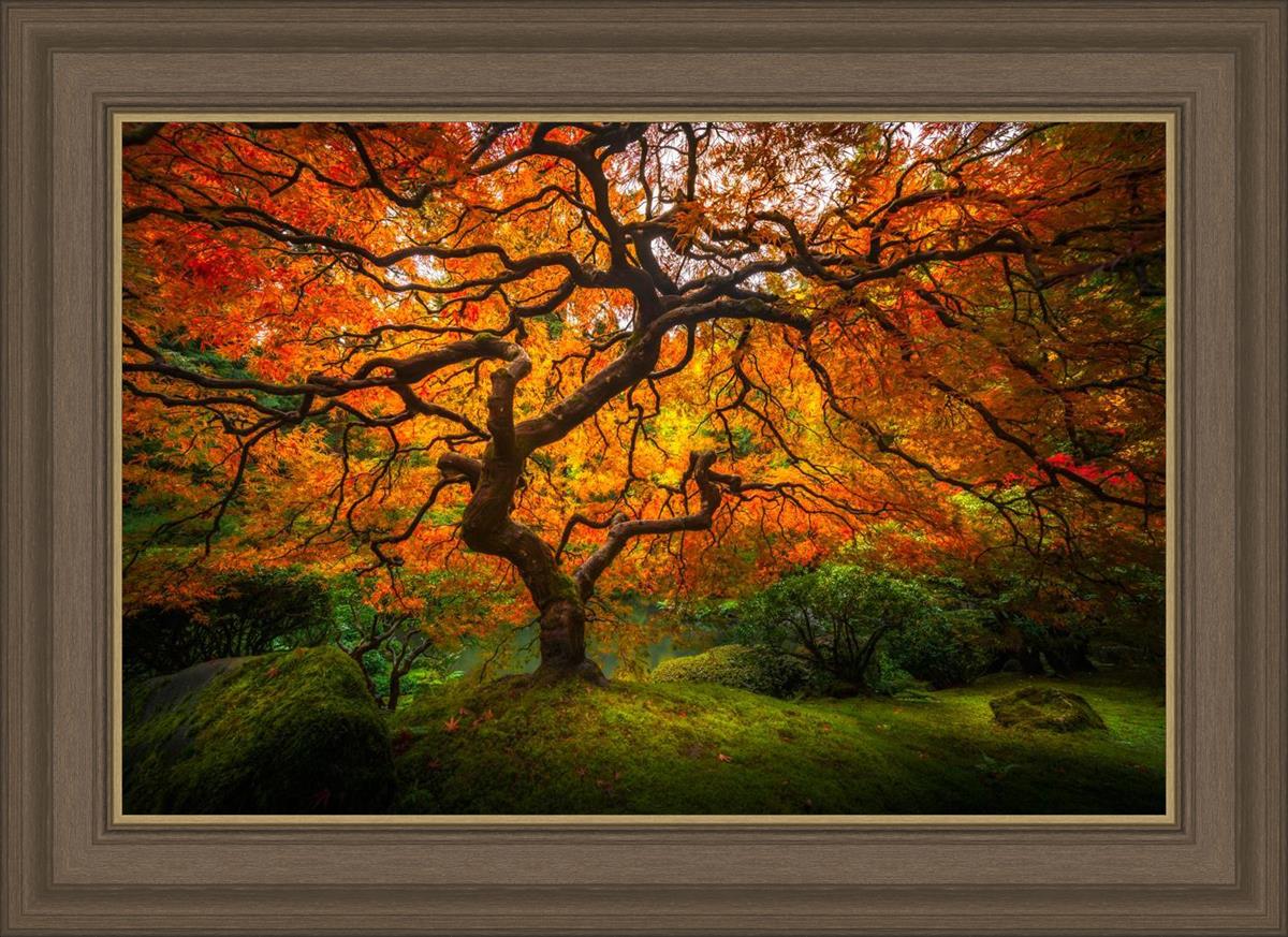 Tree of Perspective