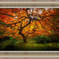 Tree of Perspective