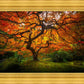 Tree of Perspective