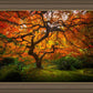Tree of Perspective