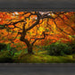 Tree of Perspective