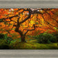 Tree of Perspective