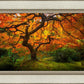 Tree of Perspective